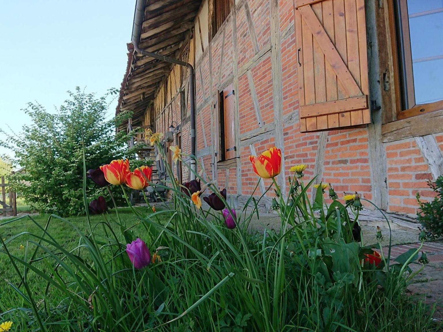 A La Poularde B&B Curciat-Dongalon Esterno foto