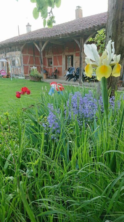 A La Poularde B&B Curciat-Dongalon Camera foto